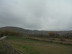 DSC03308.JPG
